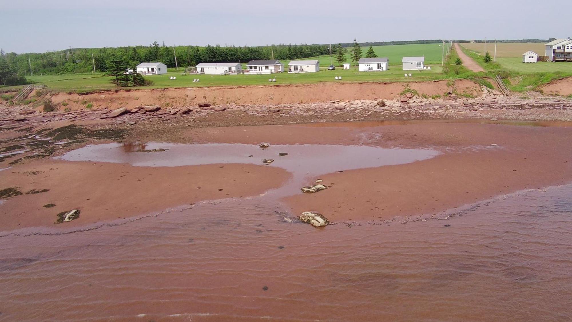 Cottages On Pei-Oceanfront Bedeque Екстер'єр фото